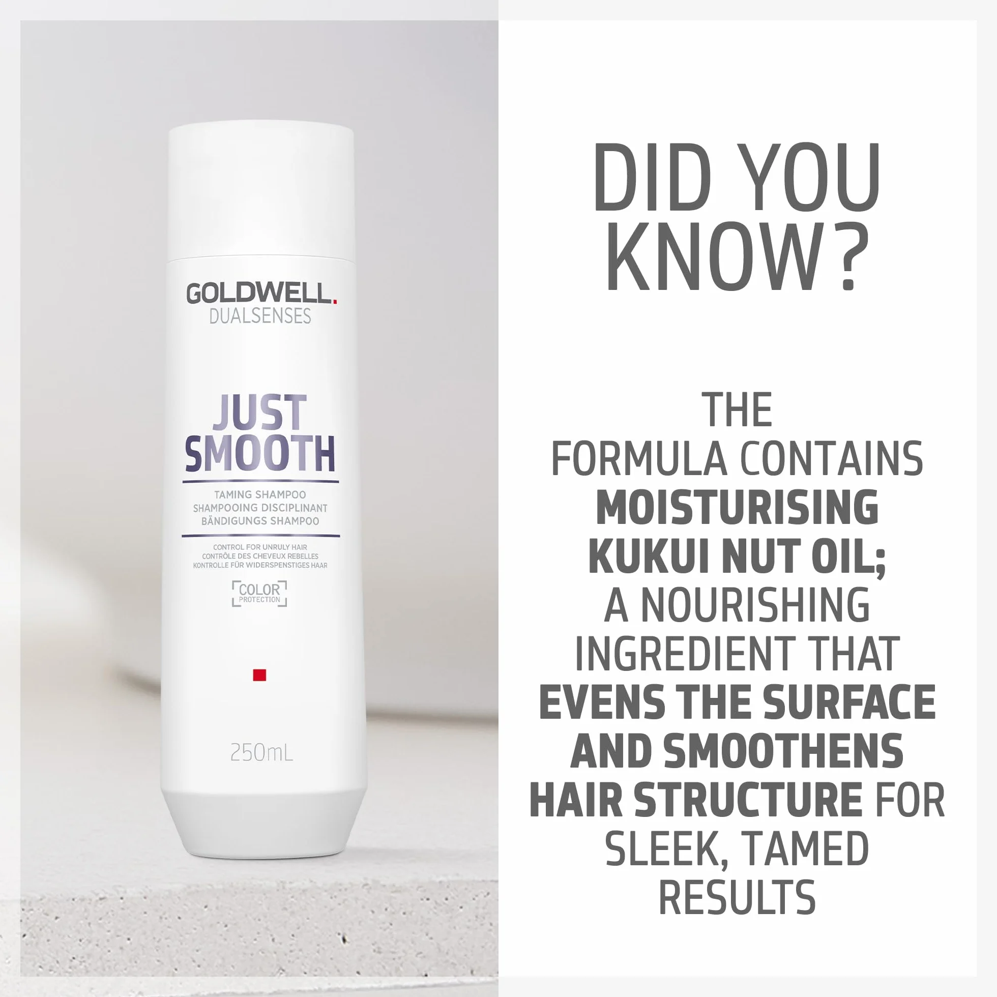 GOLDWELL Dualsenses Just Smooth Taming Shampoo 250 ml