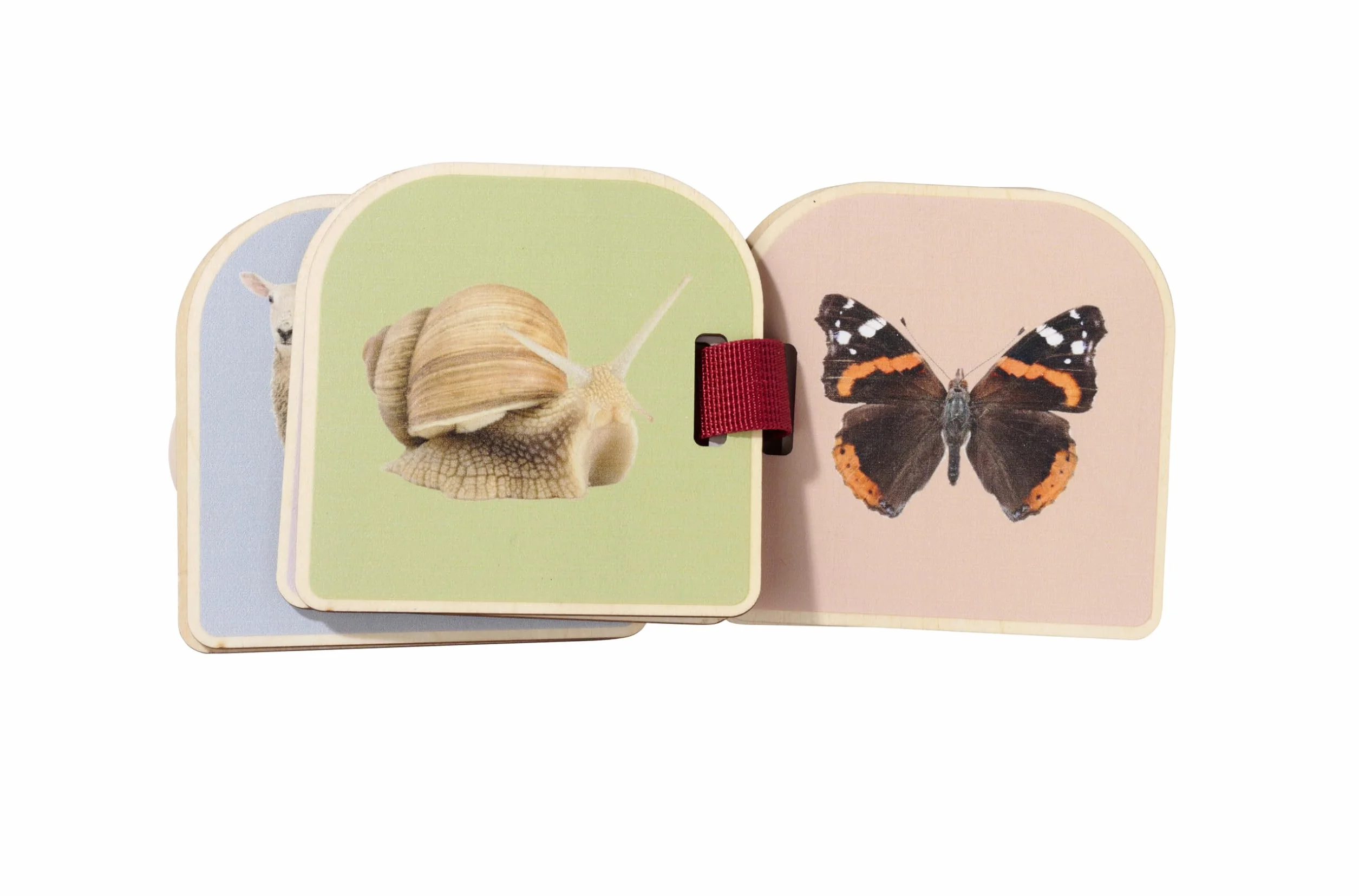 EH Montessori Bilderbuch