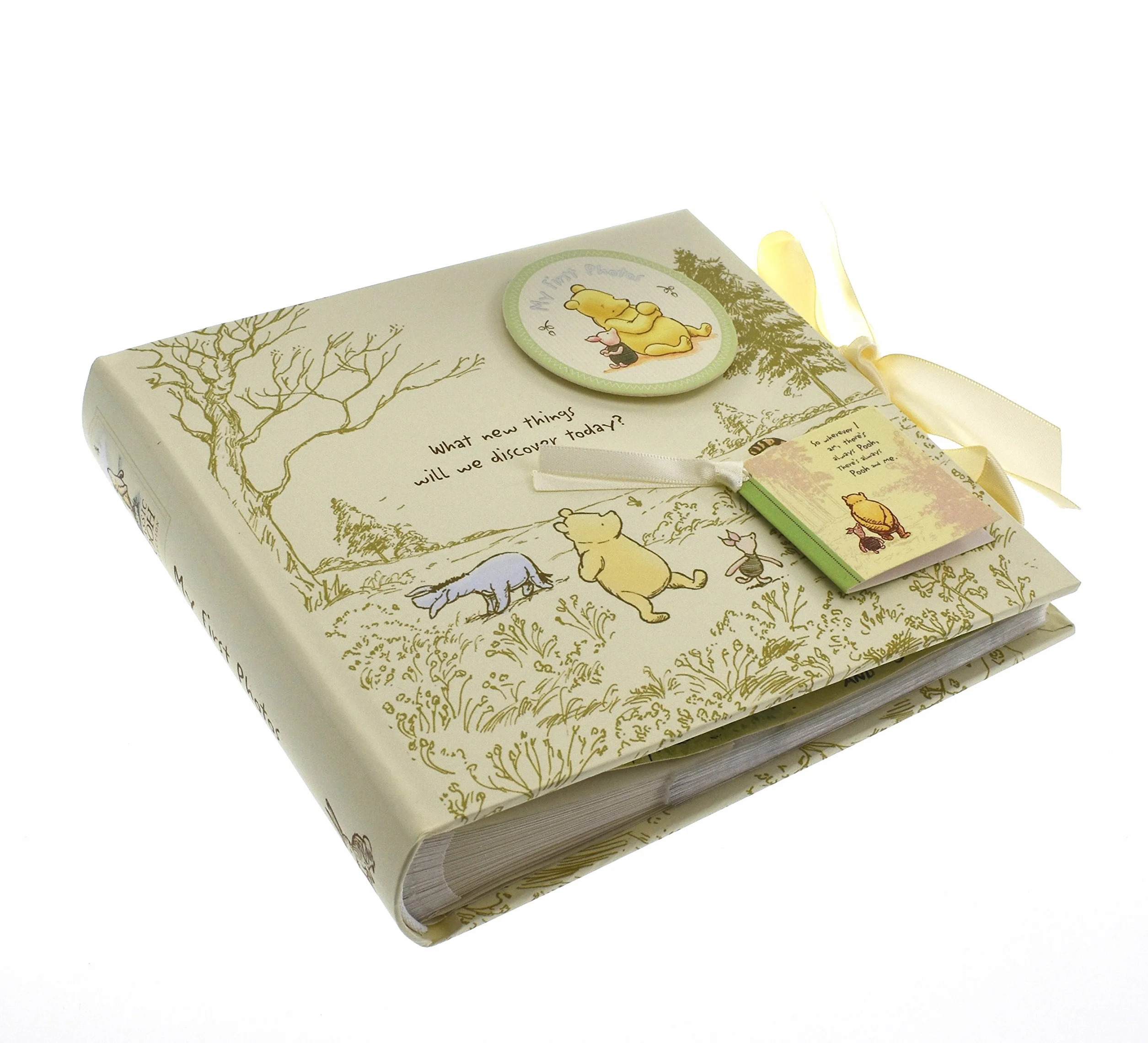Disney Magical Beginnings Classic Pooh My First Photos Baby Album for 6 x 4 Photographs New (DI165), 200 g WBM-GFT45