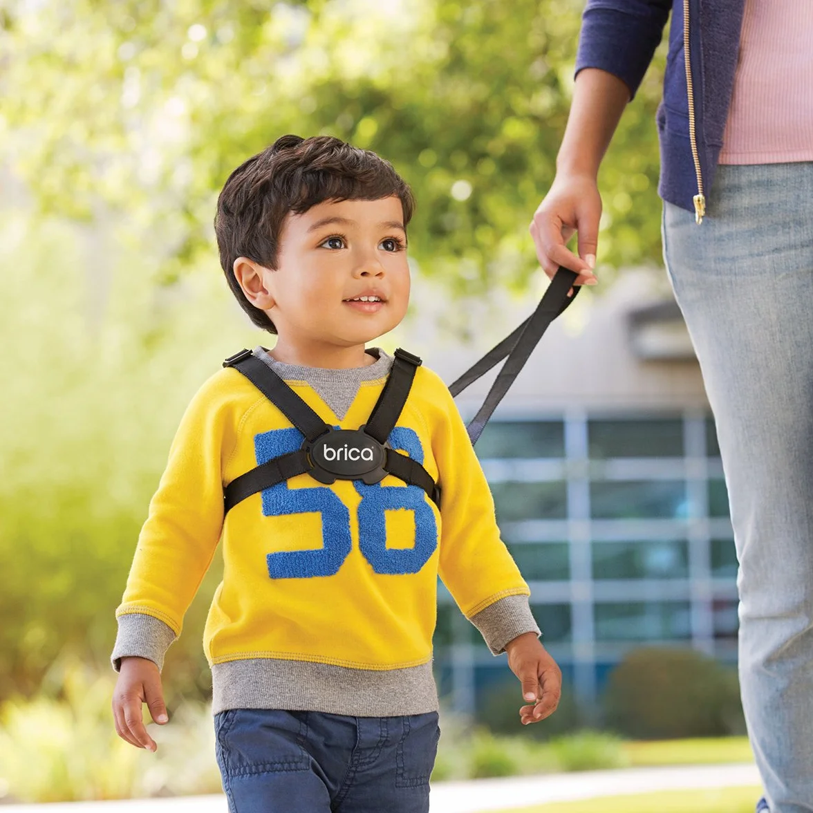 Brica By Munchkin Stay Close Harness and Reins
