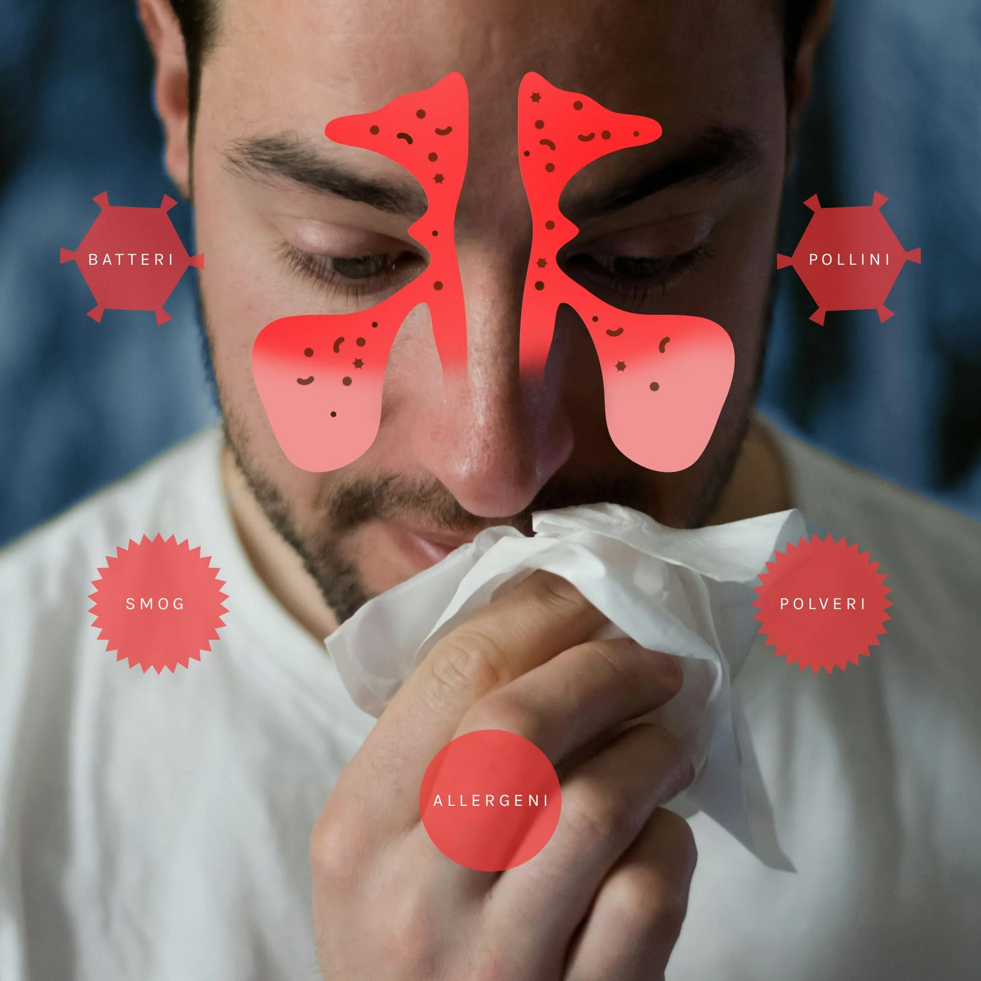 Zestaw do płukania nosa Rinoway - Neti Pot - Butelka do płukania zatok 250 ml z dwiema dyszami do ciśnieniowego, kropelkowego lub nebulizowanego płukania nosa. Dla dorosłych, niemowląt i dzieci.