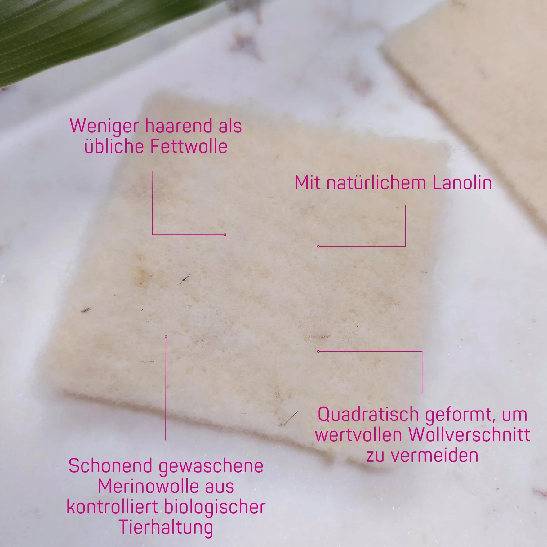 ELANEE Wełniane nakładki dla matek karmiących, do zakrywania zniszczonych sutków i wrażliwych partii skóry, z naturalną lanoliną, gotowa do użycia wełna tłuszczowa, ok. 8 x 8 cm, 20 sztuk (224-00)