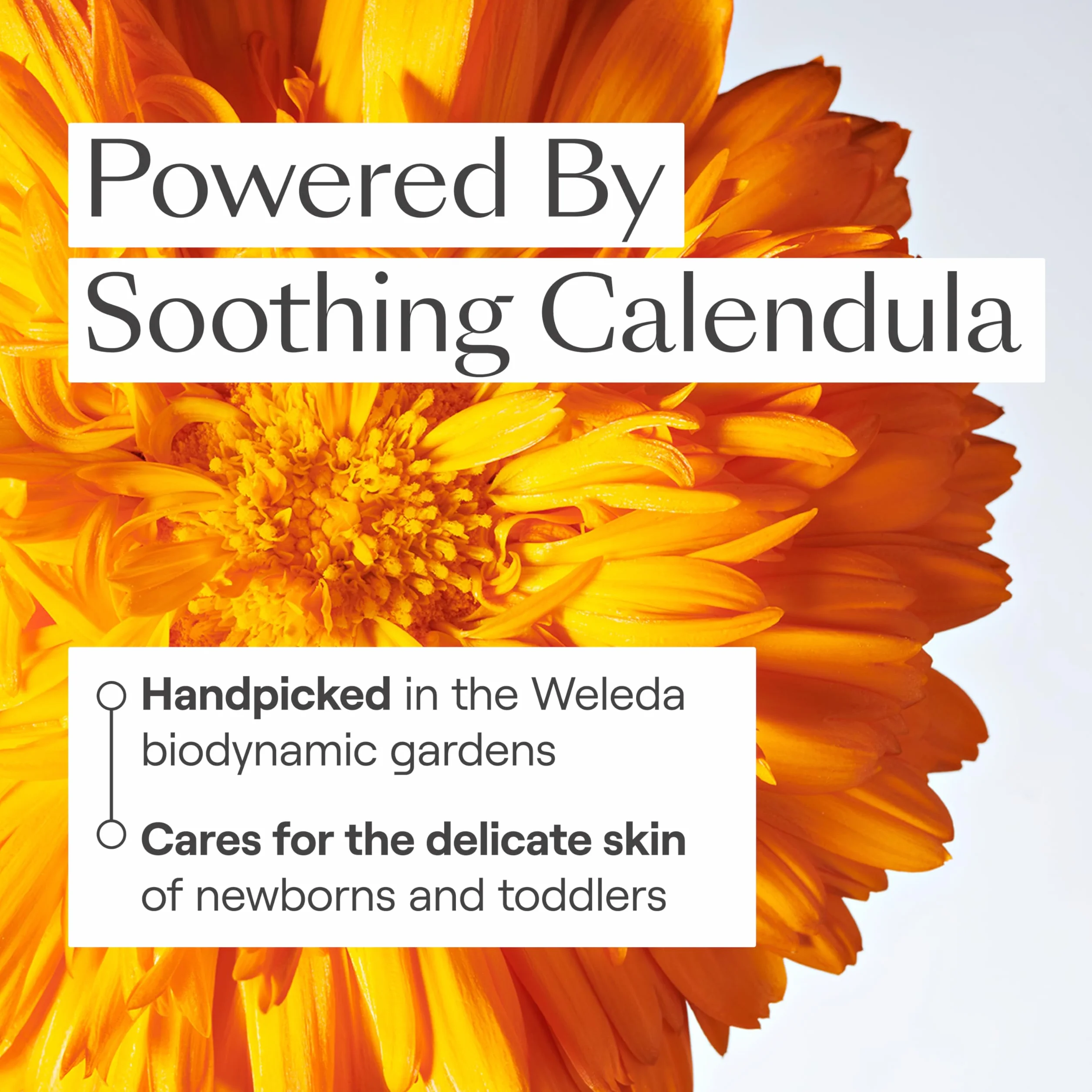 Weleda 9651 Szampon, Żółty/Biały, 200 ml