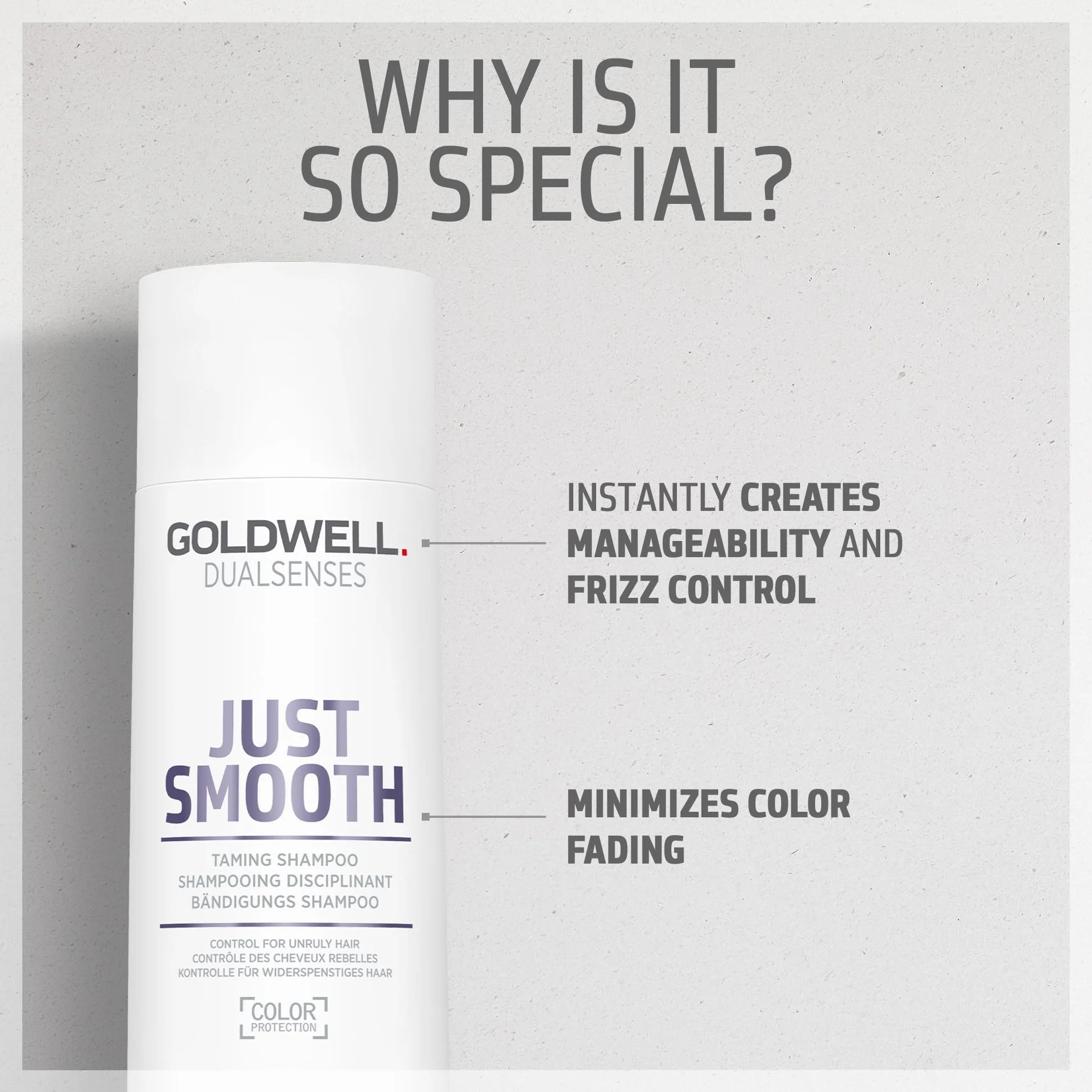 GOLDWELL Dualsenses Just Smooth Taming Shampoo 250 ml