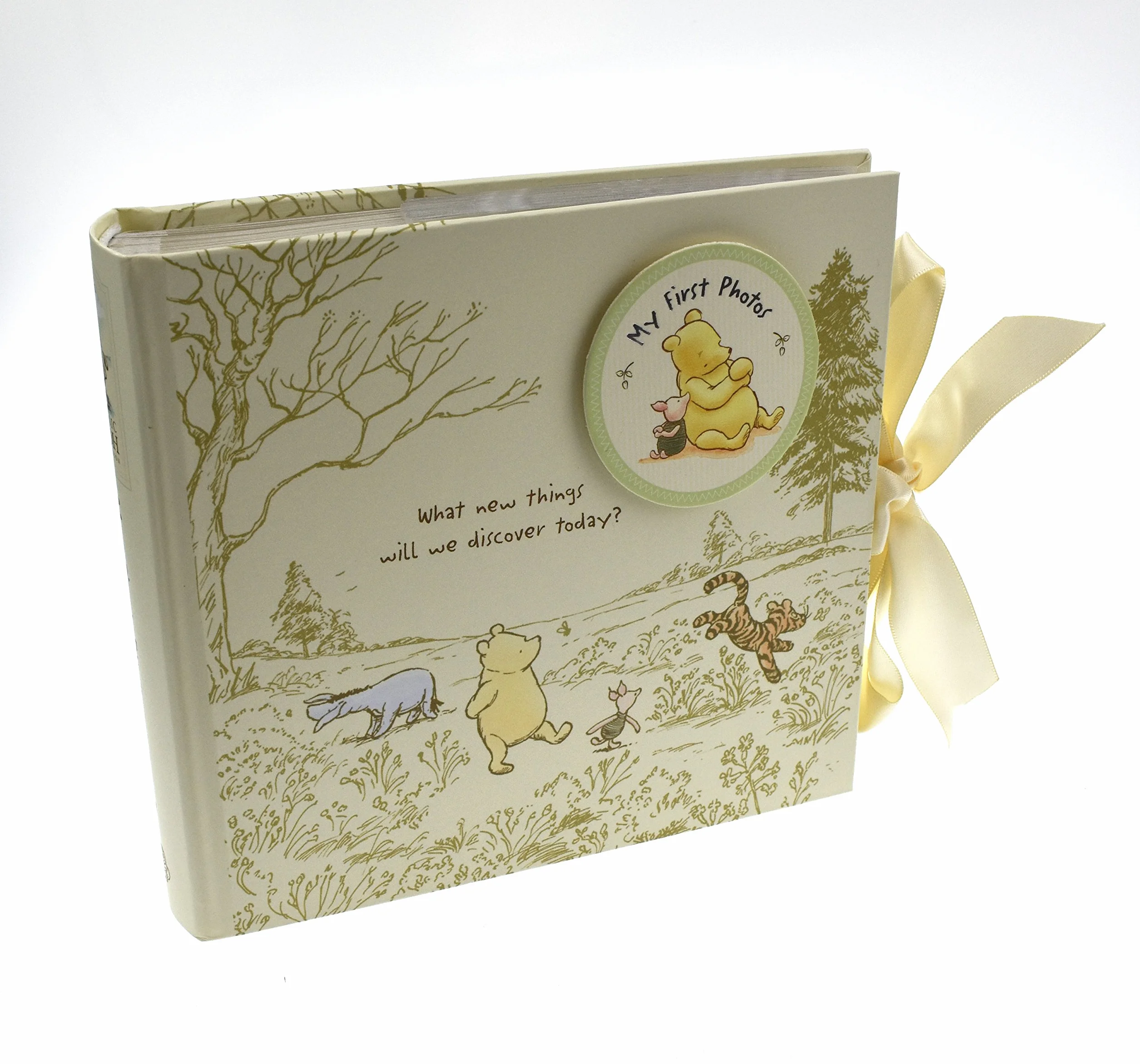 Disney Magical Beginnings Classic Pooh My First Photos Baby Album for 6 x 4 Photographs New (DI165), 200 g WBM-GFT45