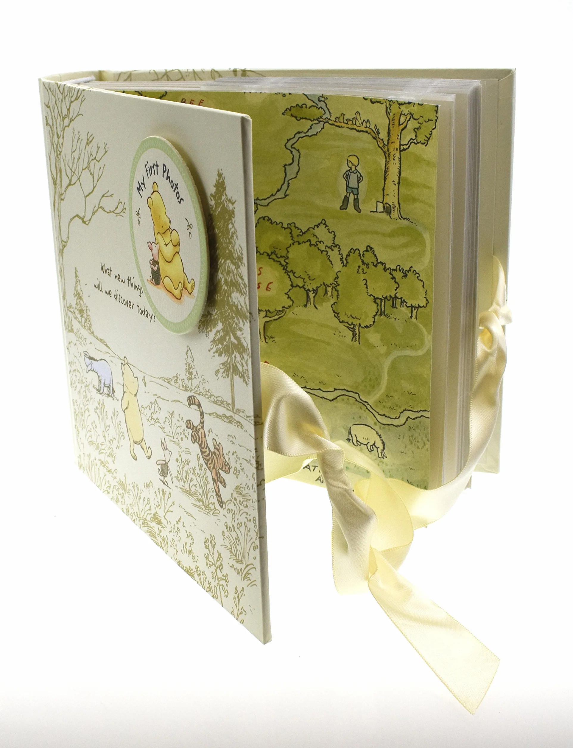 Disney Magical Beginnings Classic Pooh My First Photos Baby Album for 6 x 4 Photographs New (DI165), 200 g WBM-GFT45